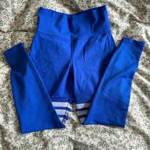 BOMBSHELL SPORTSGEAR